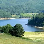 Biafora &