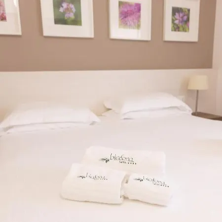 Hotel Biafora &